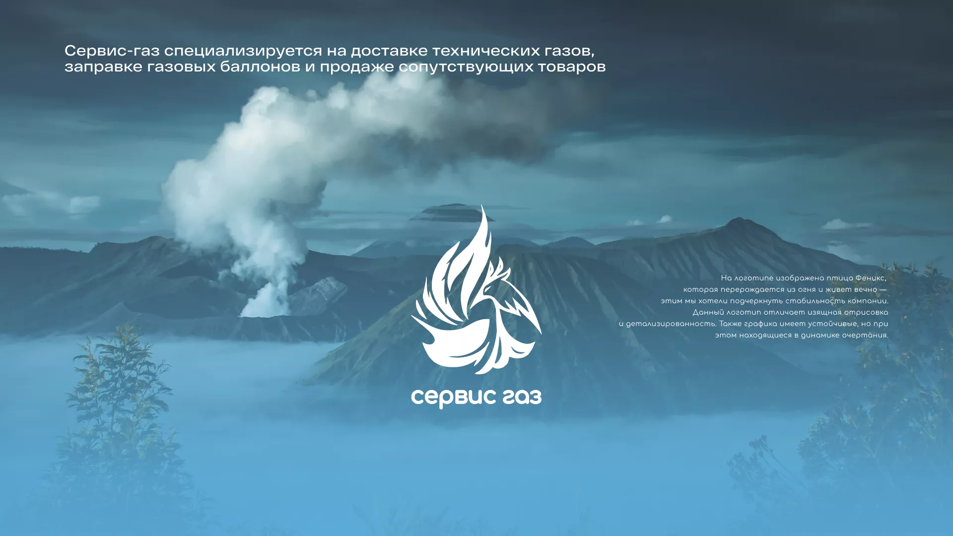 Создание сайта компании «Сервис газ» в Невели