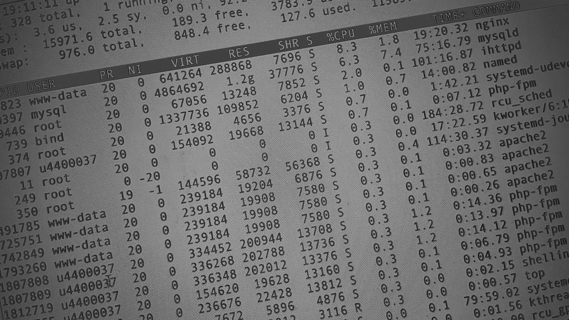 Настройка сервера в Невели