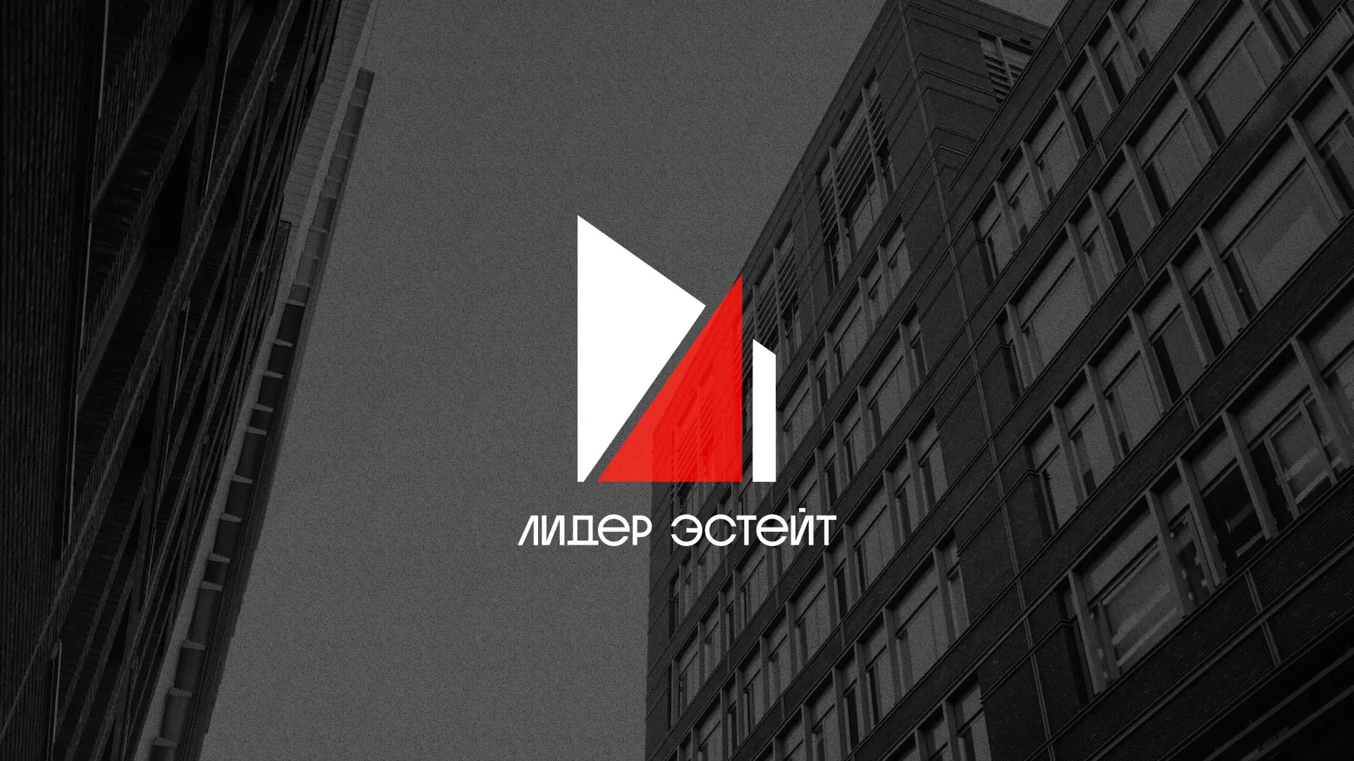 Сделали логотип для агентства недвижимости «Лидер Эстейт» в Невели